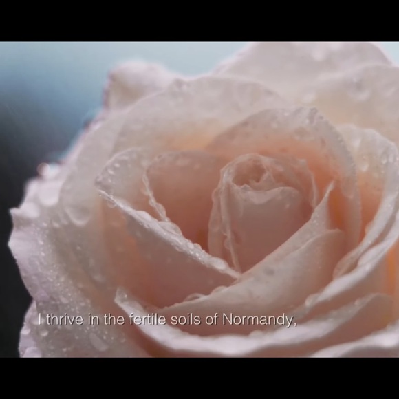 (1 oz $370)DIOR PRESTIGE-LA MICRO HUILE DE ROSE ADVANCED SERUM - Picture 6 of 12